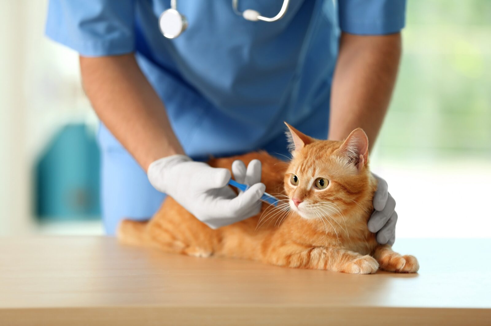 Vaccinations